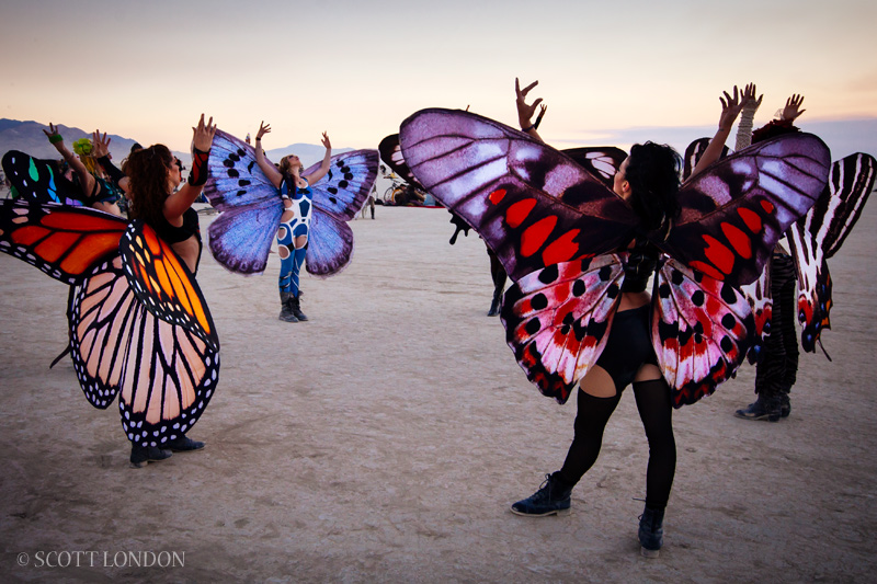 Dream of the Last Butterflies at Burning Man 2013 (Photo by Scott London)