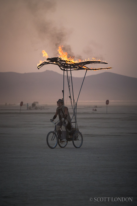 Firefly, an installation by Justin Brown at Burning Man 2013 (Photo by Scott London)