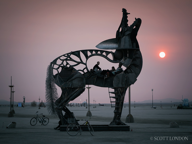 Coyote, an installation by Bryan Tedrick, at Burning Man 2013 (Photo by Scott London)