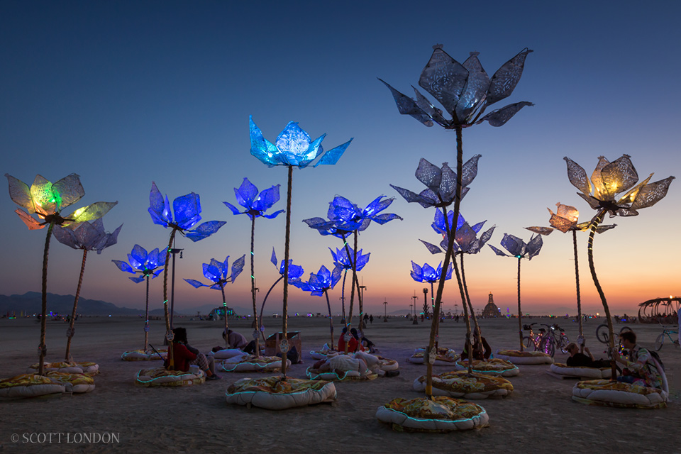 Pulse and Bloom, an interactive LED sculpture and popular chillout destination, was made up of 25 mechanical lotus flowers with rhythmically shifting colors. (Photo by Scott London)