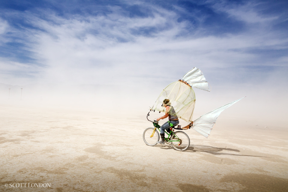 A burner with an artful bike rides across the playa in a dust storm at Burning Man 2014. (Photo by Scott London)