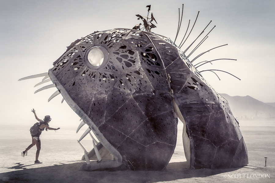 Illumacanth by Rebecca Anders at Burning Man 2015 (Photo by Scott London)