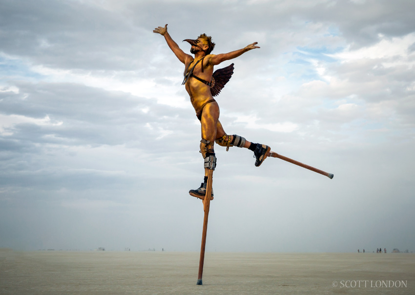 Icarus at Burning Man 2016