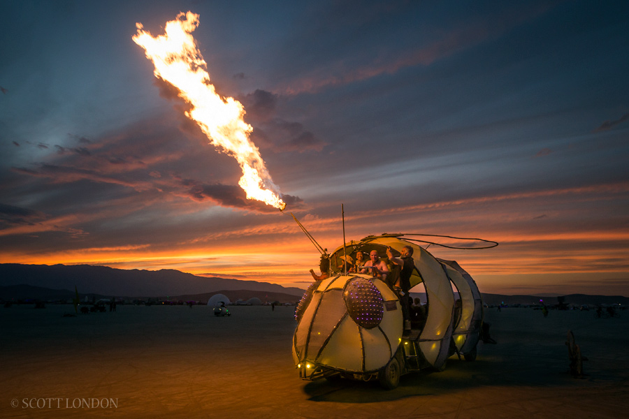 Apis Inclusio at Burning Man 2016 (Photo by Scott London)
