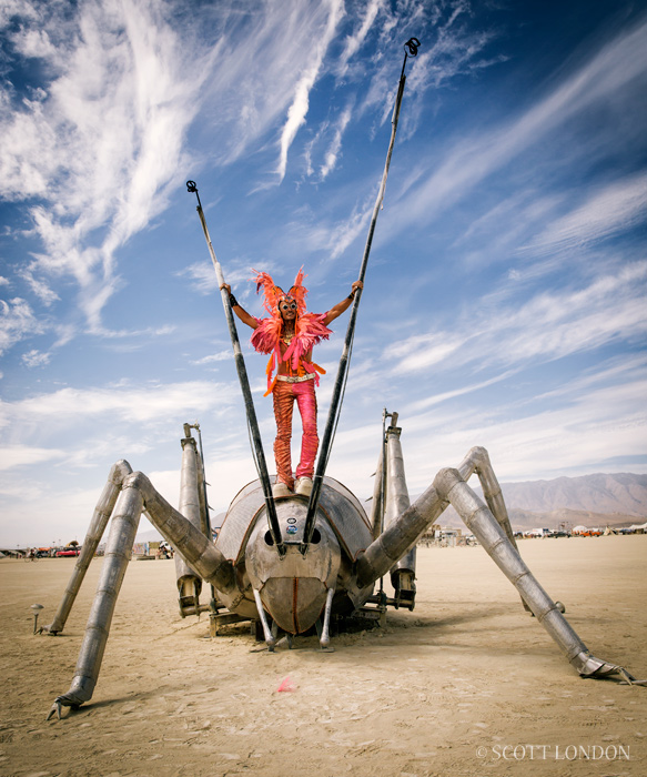 Layne stands on 'The Giant Weta,' an installation by Andrew Benson, Hippathy Valentine and Auckland Burners at Burning Man 2016. (Photo by Scott London)