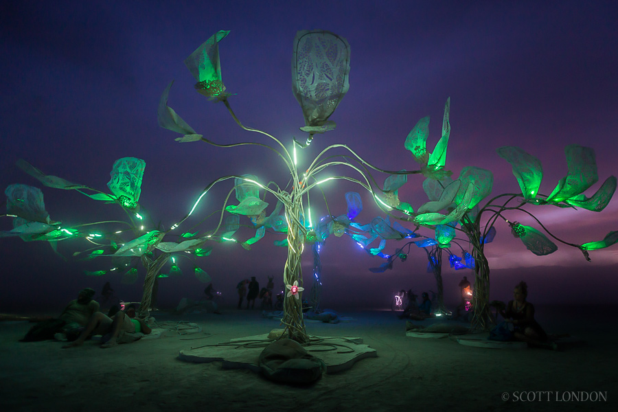 The Grove, an interactive installation at Burning Man 2016. (Photo by Scott London)
