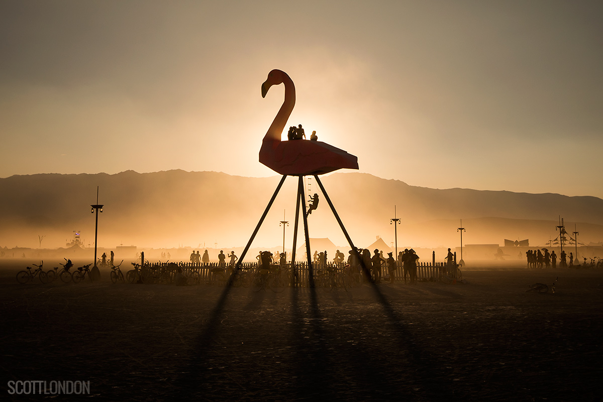 Phoenicopterus Rex at Burning Man 2017 (Photo by Scott London)