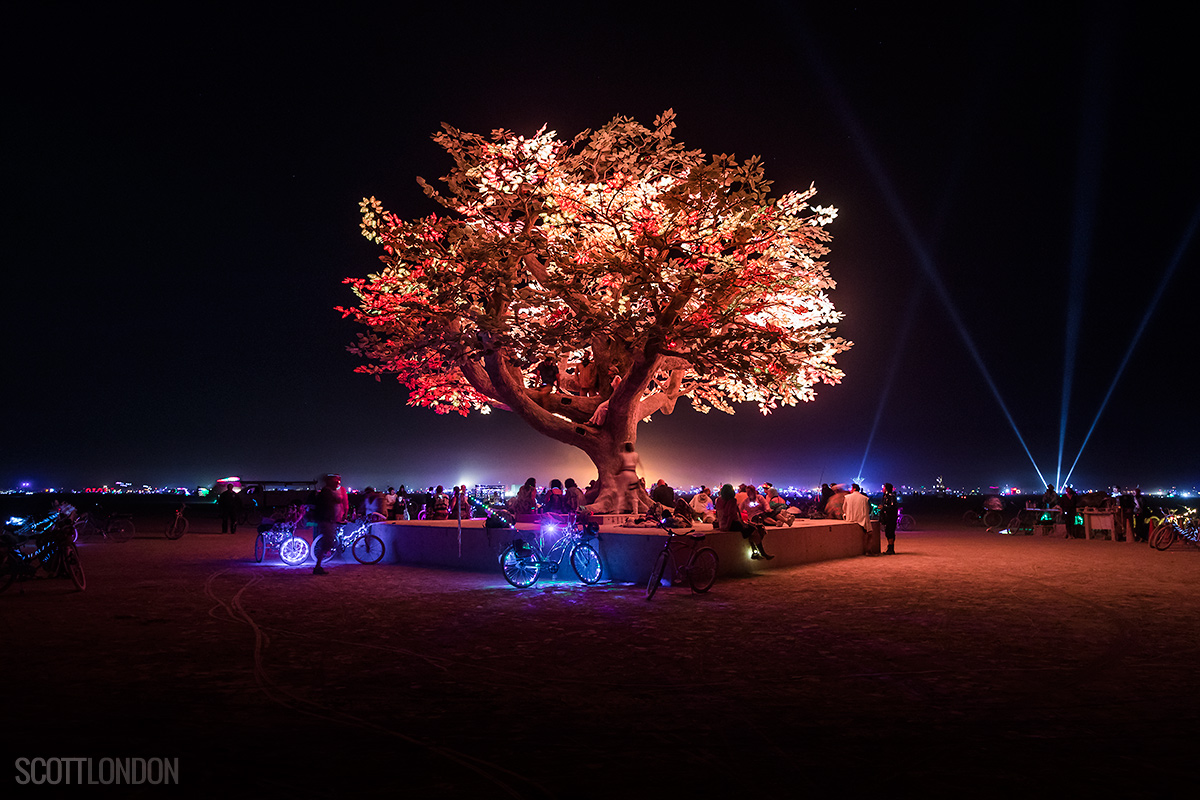The Tree of Ténéré (Photo by Scott London)