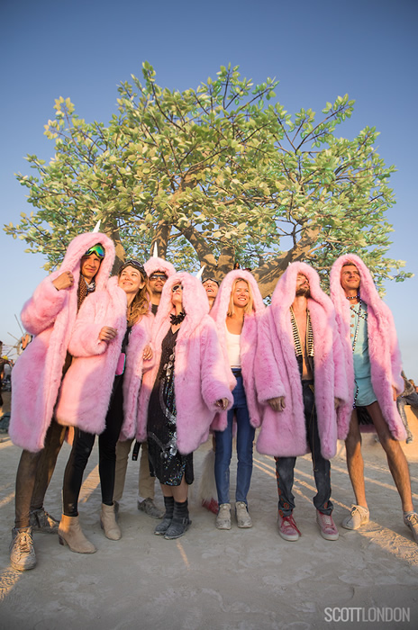 A group of friends, all clad in pink fur, pose for a picture at the Tree of Tenere at Burning Man 2017. (Photo by Scott London)