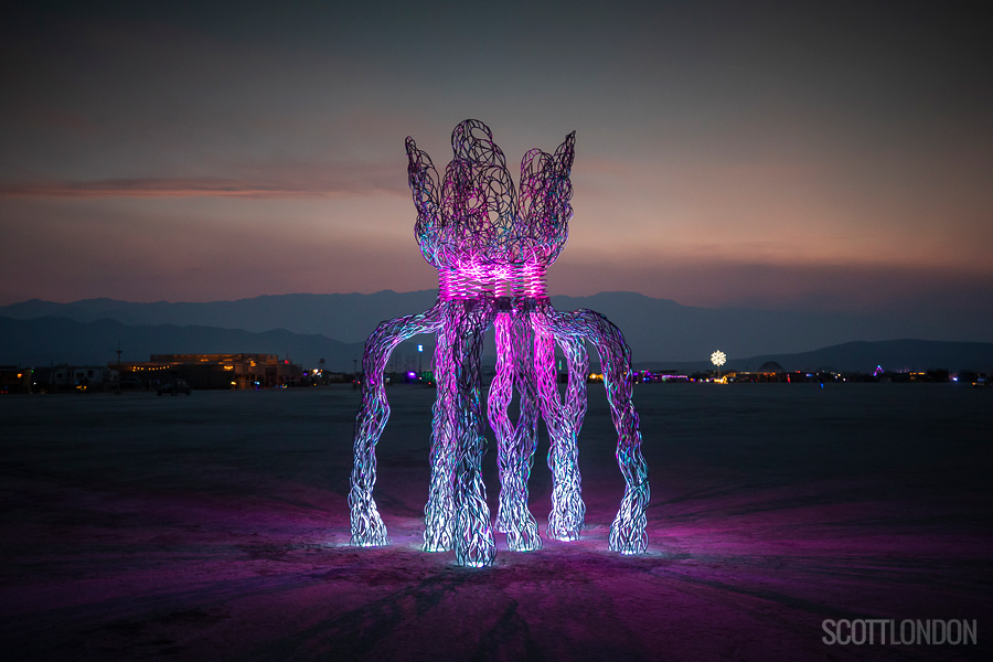 FloBot, an installation by South Lake Tahoe artist Jessica Levine at Burning Man 2018. (Photo by Scott London)