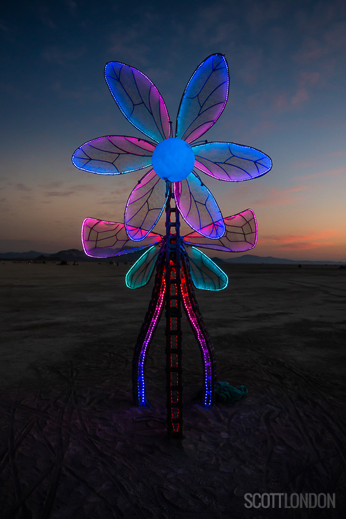 One of several specimens in the beautiful Plantoid Garden, an installation at Burning Man 2018 created by Paris-based Primavera De Filippi and Okhaos Creations. (Photo by Scott London)