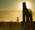 The Trojan Horse