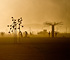 Dusty Afternoon on the Playa