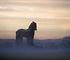 Trojan Horse