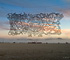Wire Tapestry