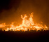 Crowds After the Burn