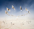 Dusty Afternoon on the Playa