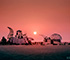 Art Cars at the Trash Fence