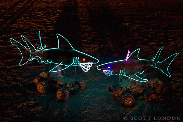 Robotic Sharks