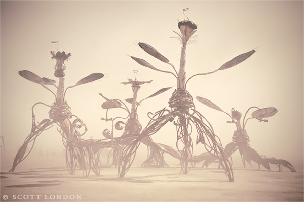 Mutopia