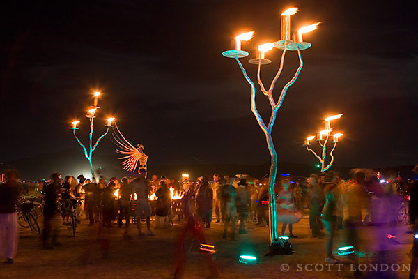 Celtic Forest