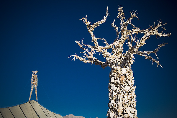 Original Man and Bone Tree