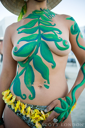 Fern Body