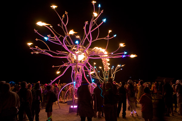 Soma :: An Installation by the Flaming Lotus Girls