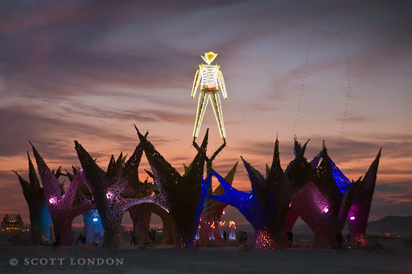 The Man and the Tangled Bank at Daybreak