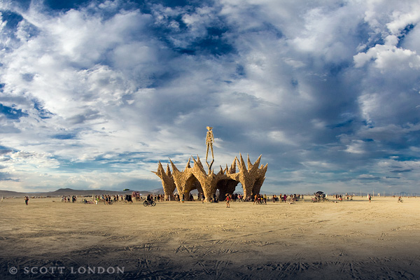 The Man and the Tangled Bank