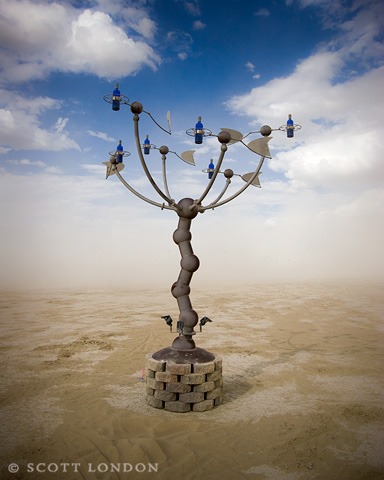 School of Blue Bottle Noses