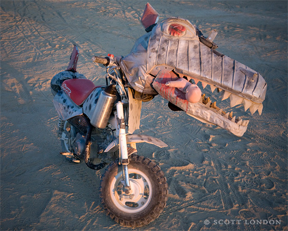 Scary Playa Bike