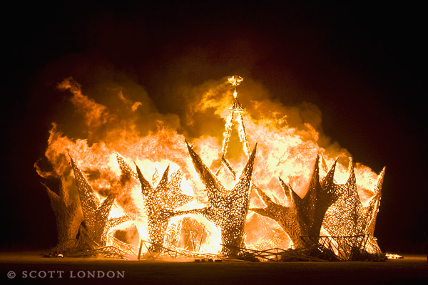 The Man Burns