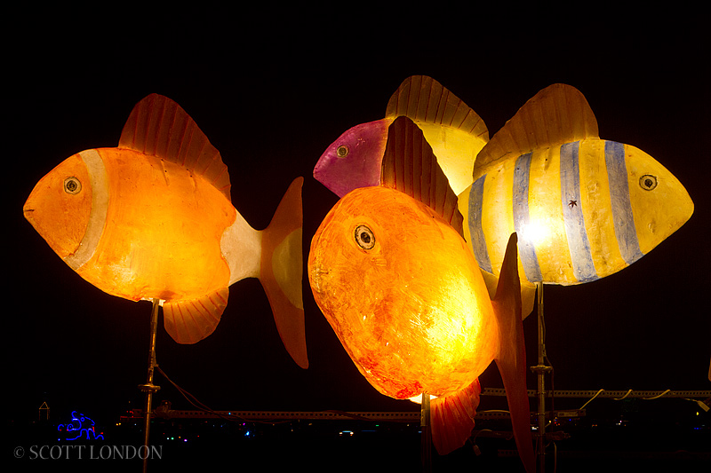 City Fish
