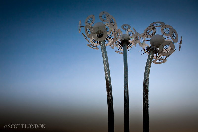 Wish by Rob Buchholz