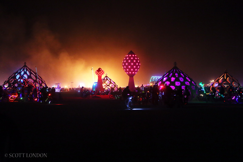 Zonotopia and the Two Trees