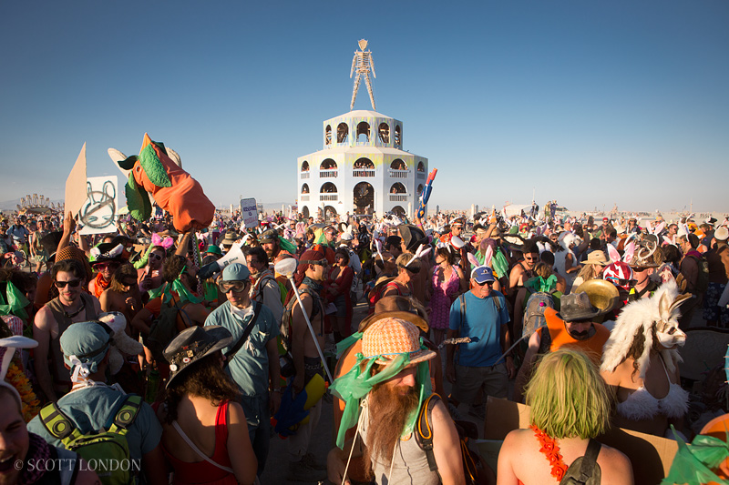 Bunnies Gather at the Man