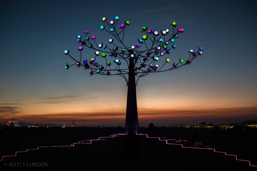 TrEeD by Tyler FuQua at Burning Man 2015 (Photo by Scott London)