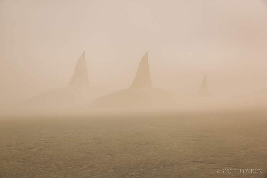 The Orca Project by Erik More at Burning Man 2016. (Photo by Scott London)