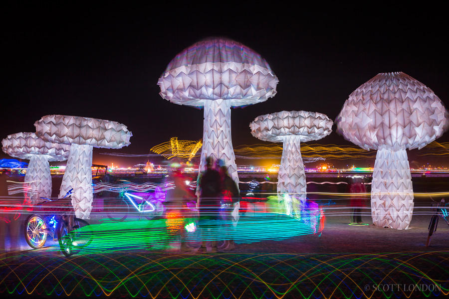 Shrumen Lumen at Burning Man 2016 (Photo by Scott London)